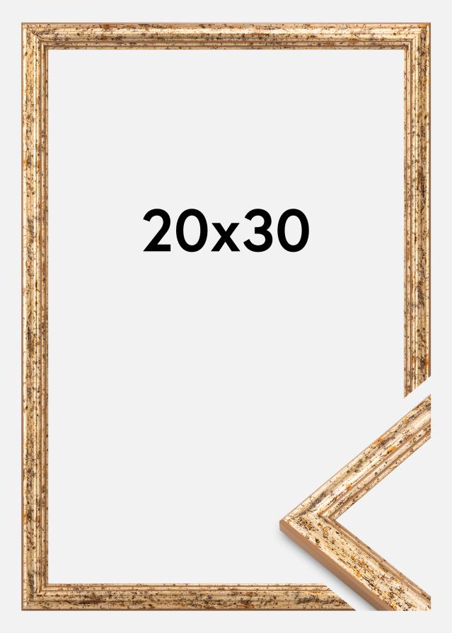 Πλαίσιο Claudia Akrylglas Ασημί 20x30 cm