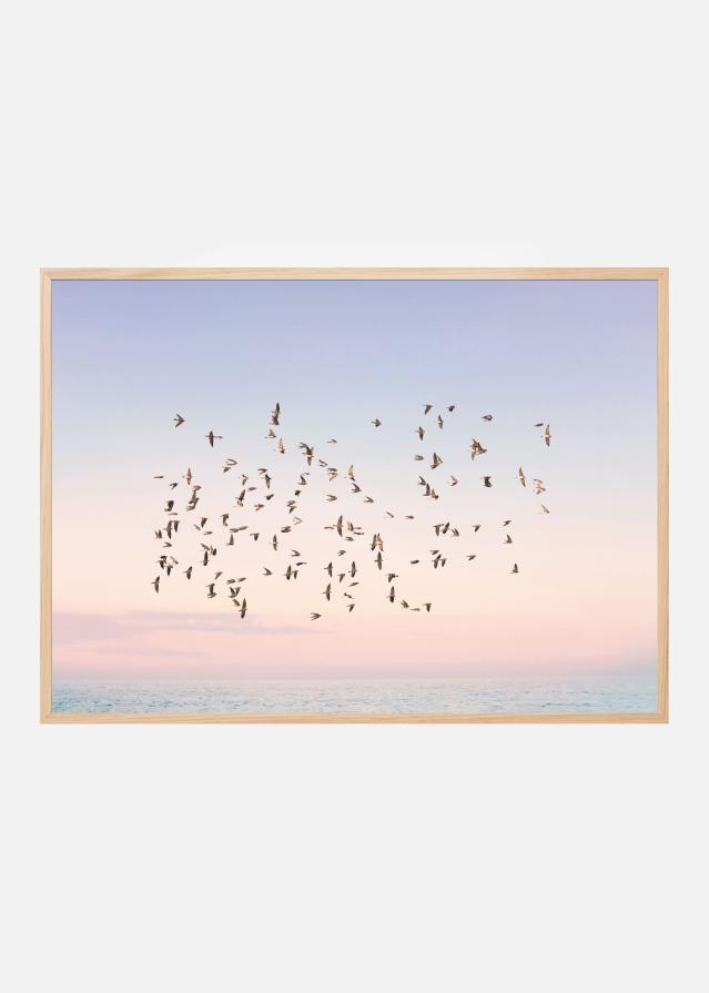 Sunset Flight Αφίσα