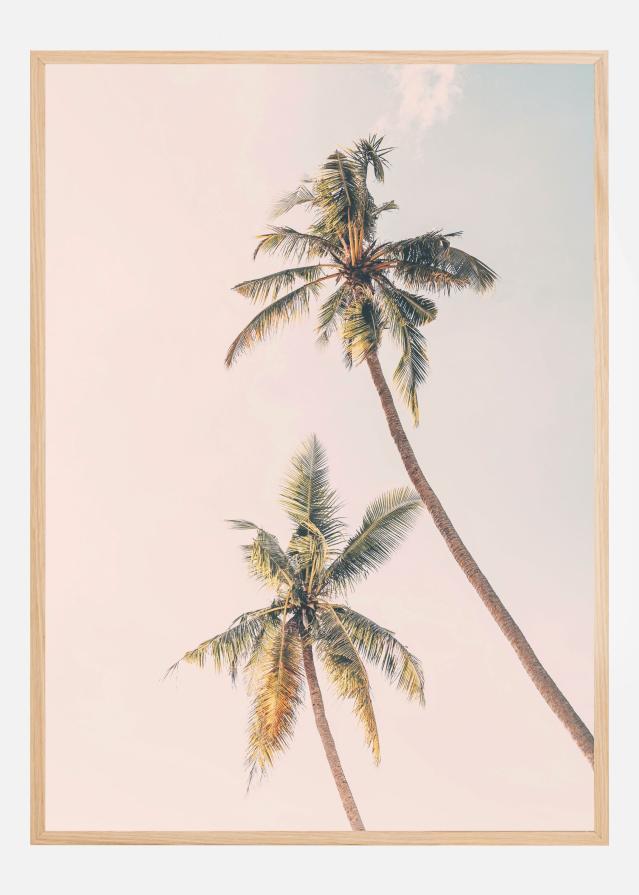 Tropical Palms Αφίσα