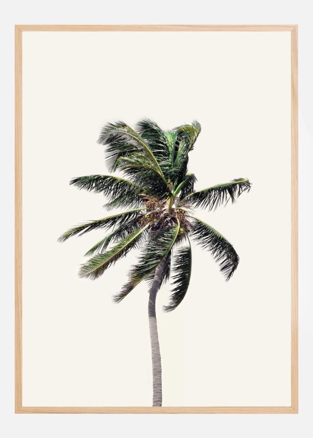Windy Palm Tree Αφίσα
