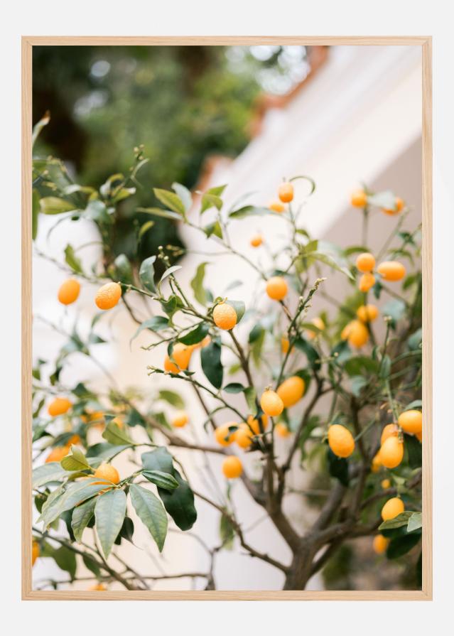 Orange Capri Αφίσα