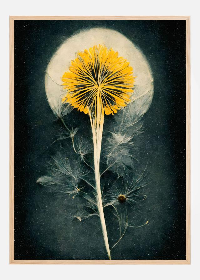 Dandelion Αφίσα