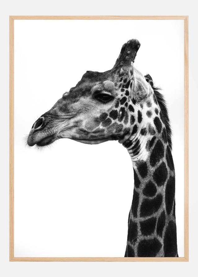 Super Safari No1 Αφίσα