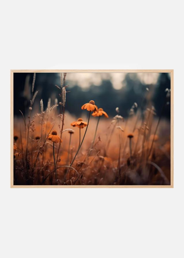 Orange Margarites Αφίσα