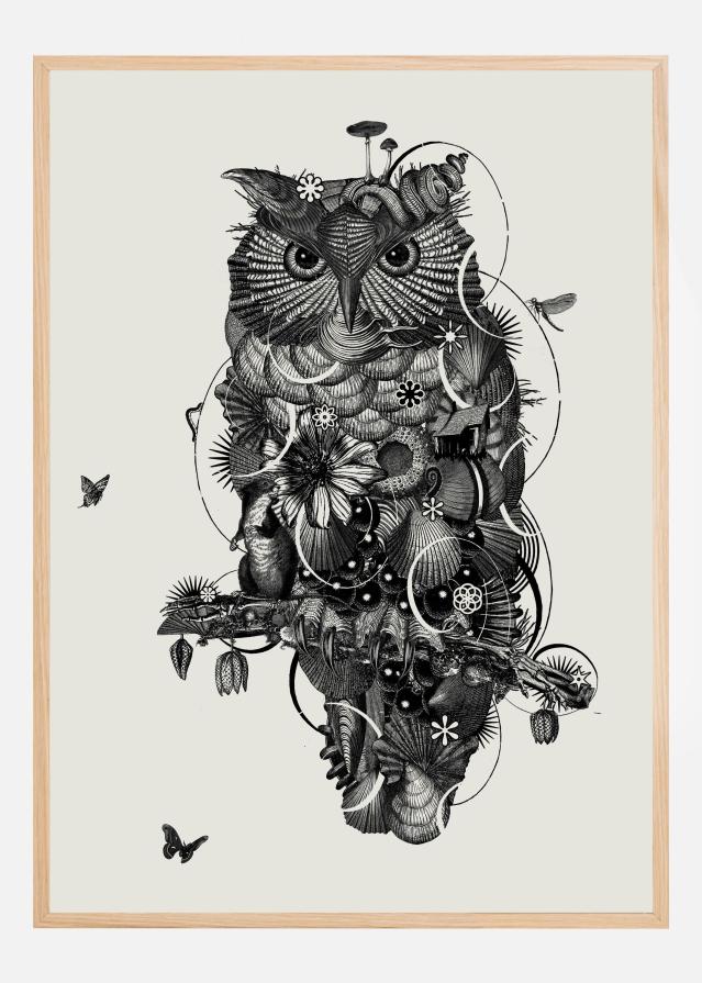 Owl Αφίσα