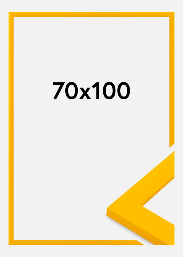 Πλαίσιο Dorset Ακρυλικό γυαλί Χρυσός 70x100 cm