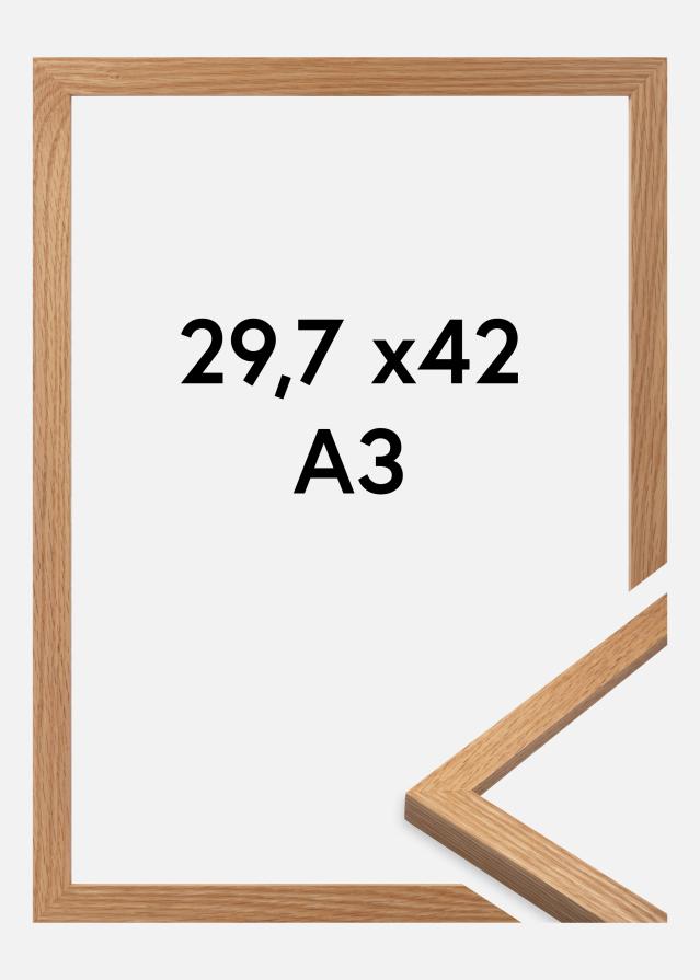 Premium by BGA Δρυς 29,7x42 cm (A3)