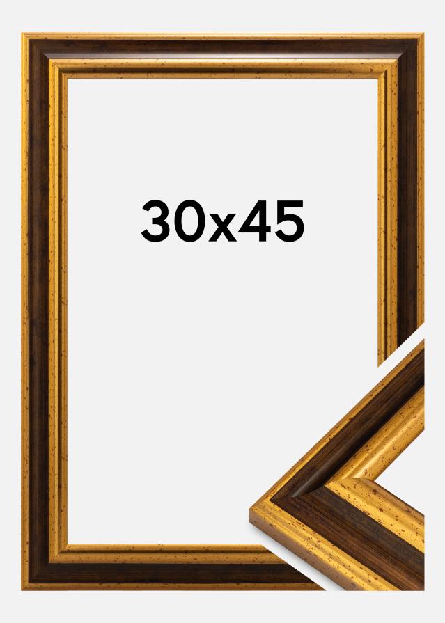 Πλαίσιο Aberystwyth Ακρυλικό γυαλί Χρυσός 30x45 cm