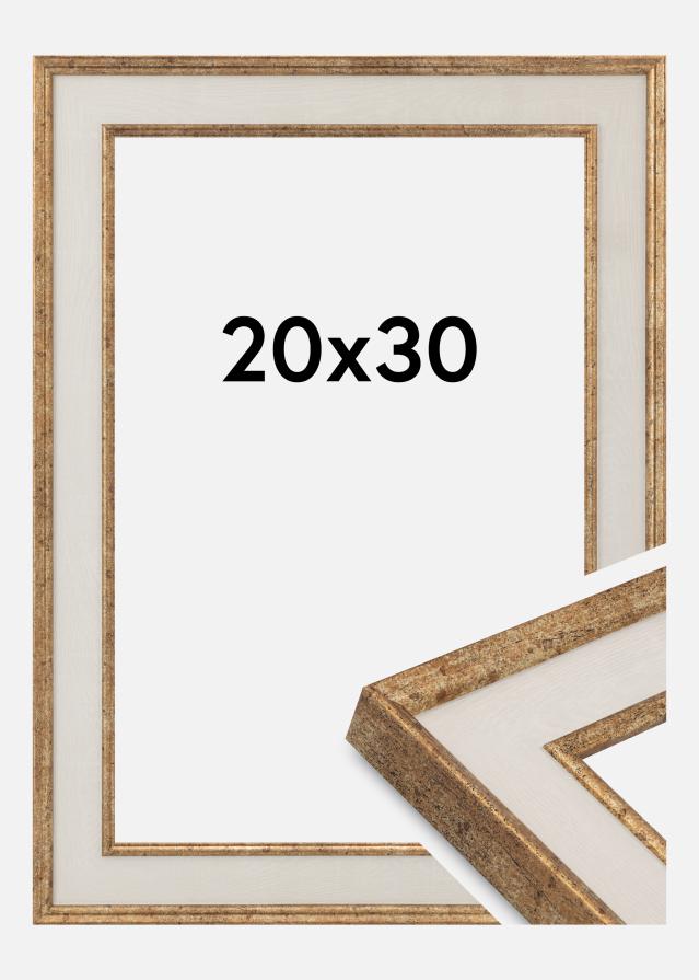 Πλαίσιο Dolly Ακρυλικό γυαλί Χρυσός 20x30 cm