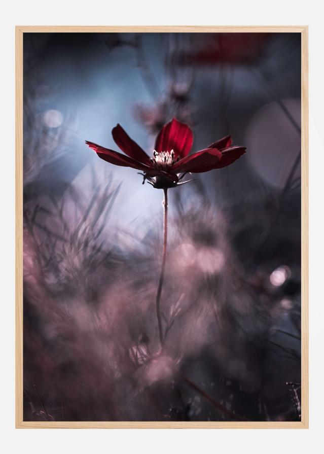 Tenue de soirAce Αφίσα