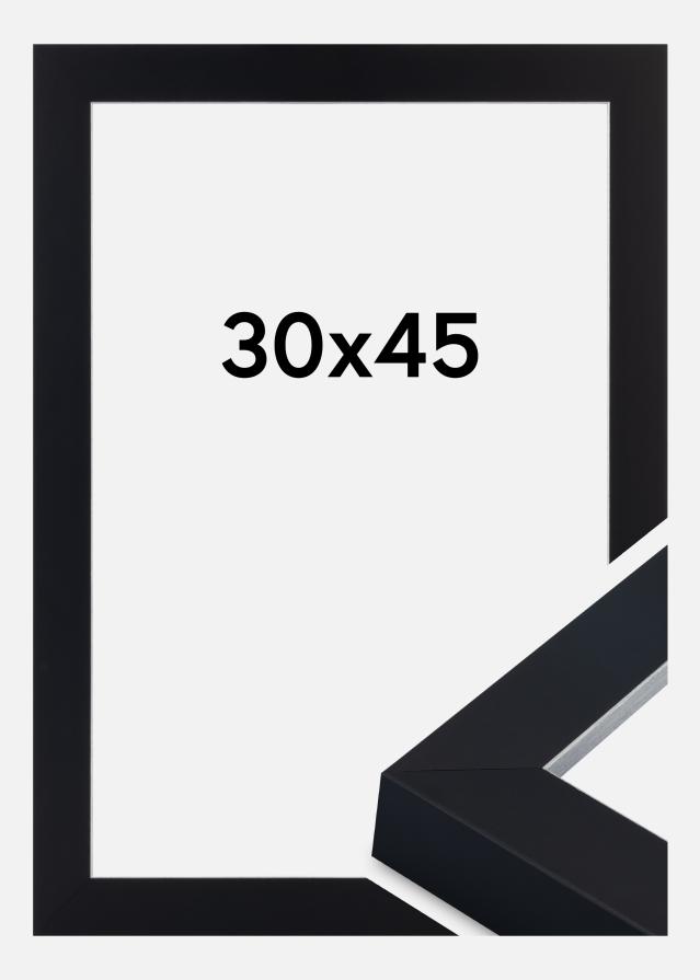 Πλαίσιο Sussex Ακρυλικό γυαλί Μαύρο/Ασημί 30x45 cm