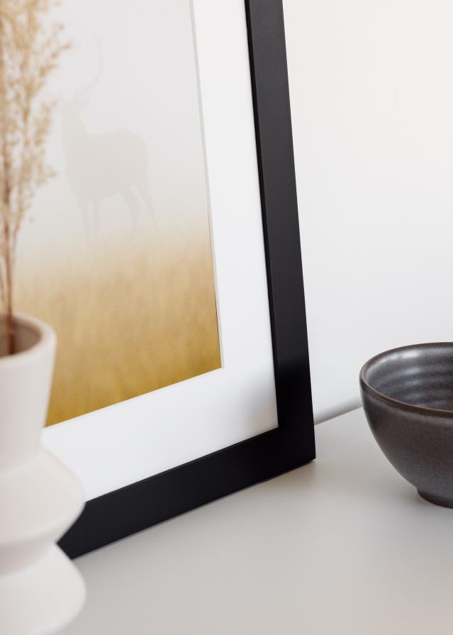 BGA Select Wide Ακρυλικό γυαλί Μαύρος 40x60 cm