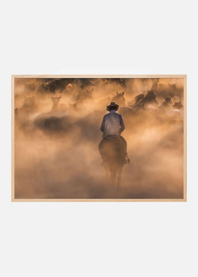 Discipline Αφίσα