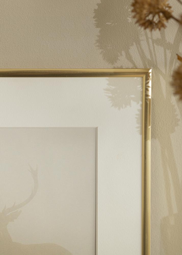 Πλαίσιο New Lifestyle Χρυσό 60x90 cm - Πασπαρτού Λευκό 50x75 cm