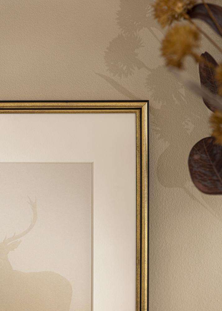 Πλαίσιο Horndal Ακρυλικό γυαλί Χρυσός 7x10 cm