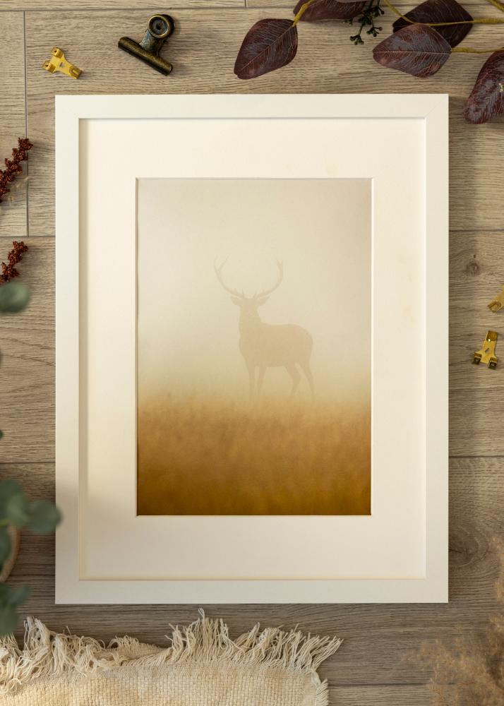 Πλαίσιο BGA Classic Λευκό 50x100 cm - Πασπαρτού Λευκό 40x90 cm