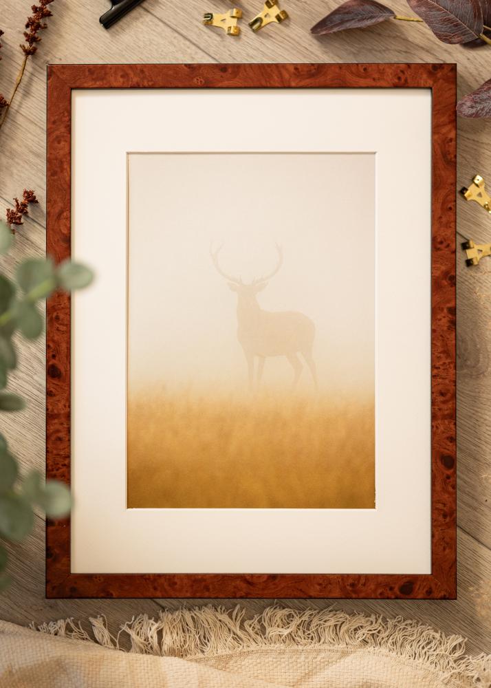 Πλαίσιο Hermes Καρυδιά 60x70 cm - Πασπαρτού Λευκό B2 500x707 mm