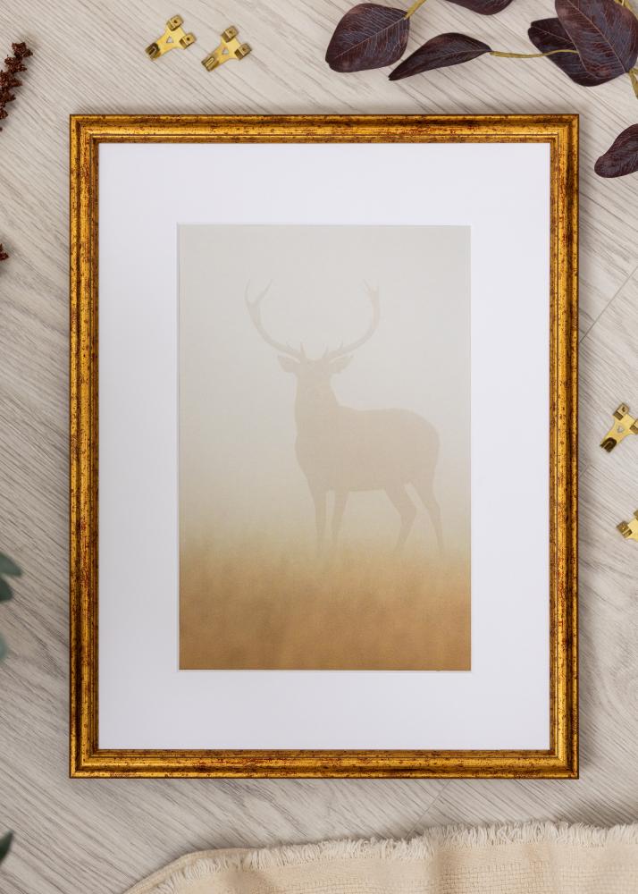 Πλαίσιο Claudia Ακρυλικό Γυαλί Χρυσό 21x29,7 cm (A4)