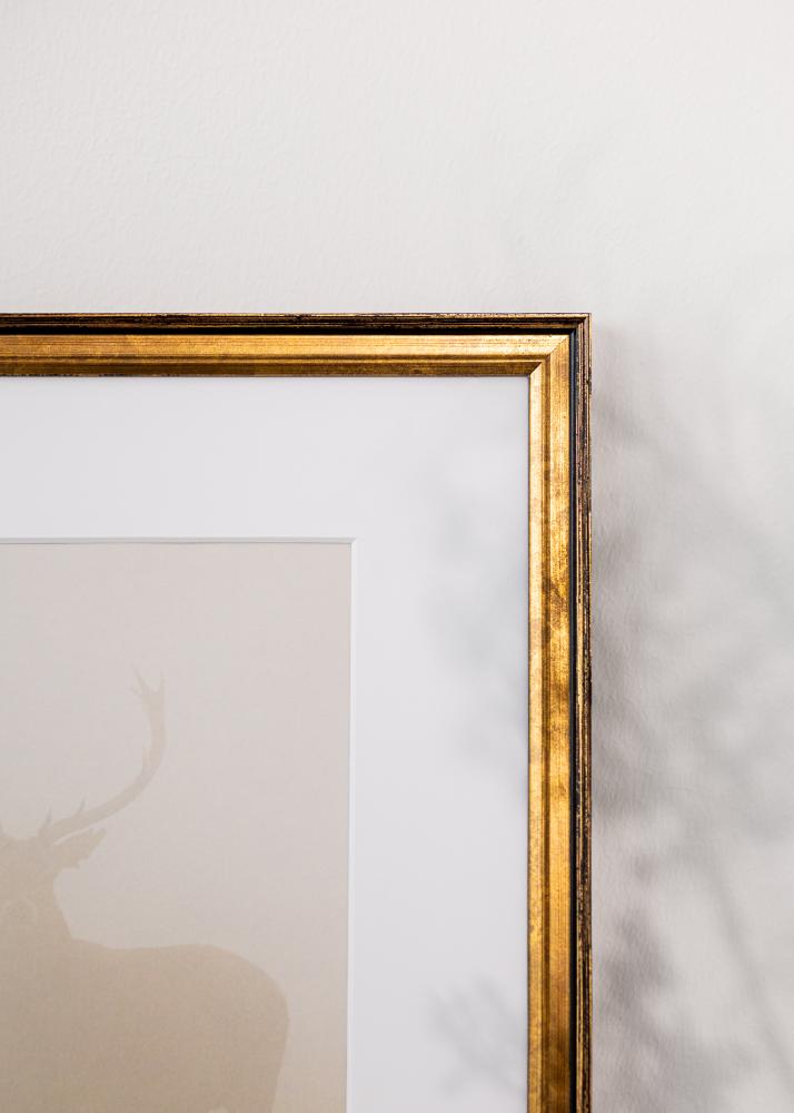 Πλαίσιο Ringa Ακρυλικό Γυαλί Χρυσό 50x70 cm