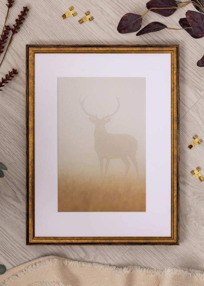 Πλαίσιο Ringa Ακρυλικό Γυαλί Χρυσό 50x70 cm