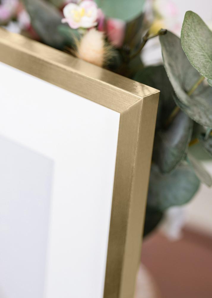 Πλαίσιο Trendy Ακρυλικό γυαλί Χρυσός 50x60 cm