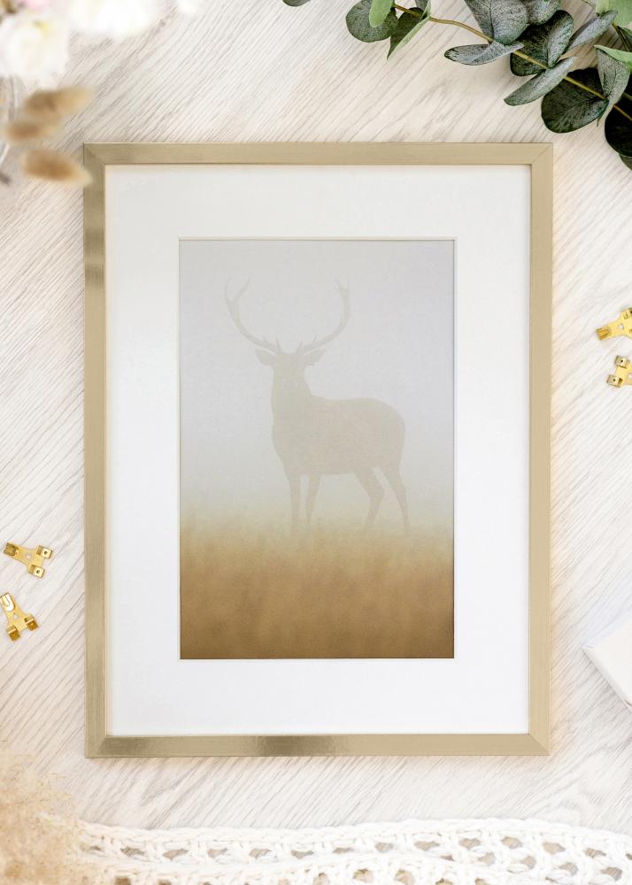 Πλαίσιο Trendy Ακρυλικό γυαλί Χρυσός 50x60 cm