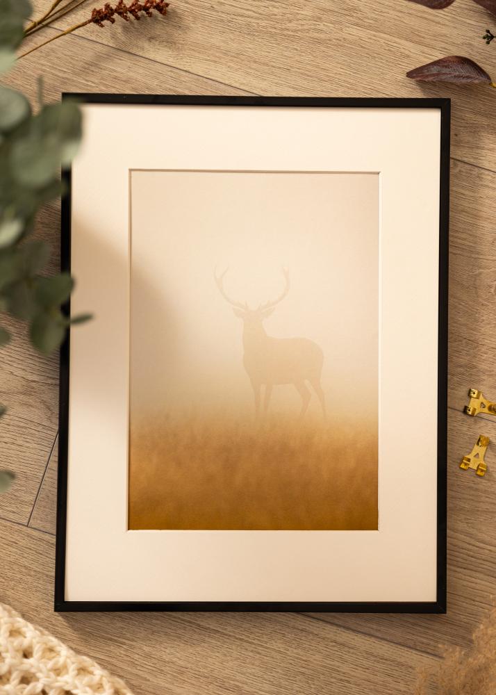 Αλουμινένια κορνίζα Ακρυλικό γυαλί Μαύρος 50x60 cm