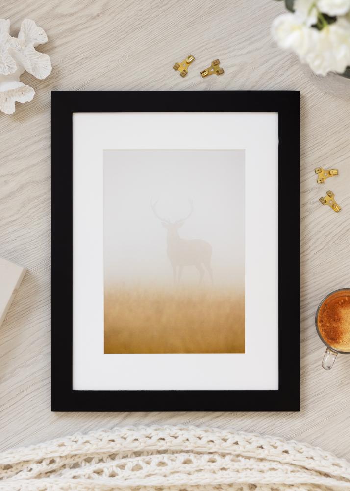 BGA Select Wide Ακρυλικό γυαλί Μαύρος 70x100 cm