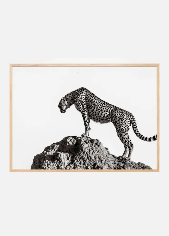 the hunter Αφίσα