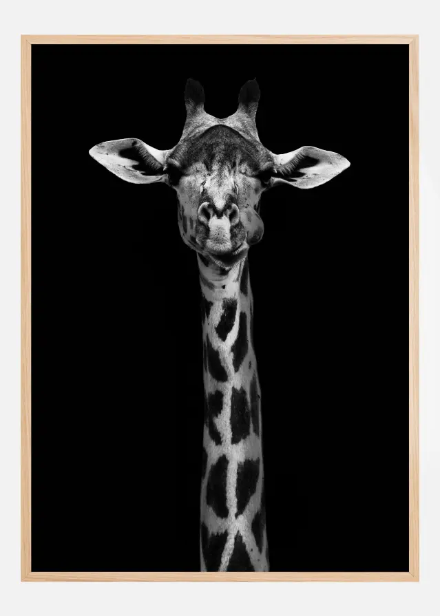 Giraffe Portrait Αφίσα