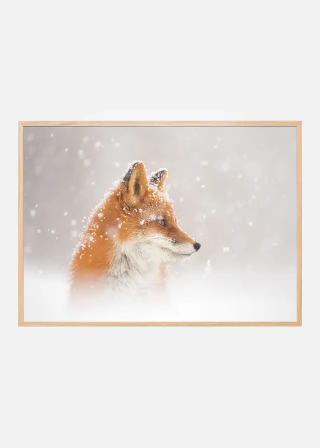 Snow is fallingab Αφίσα