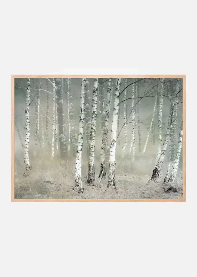 Morning silence Αφίσα