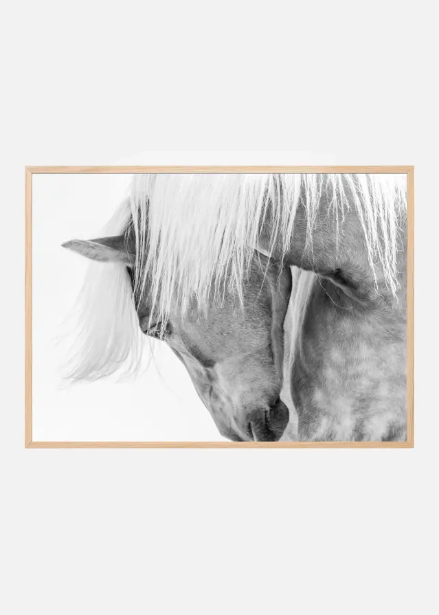 Halflinger Portrait Αφίσα