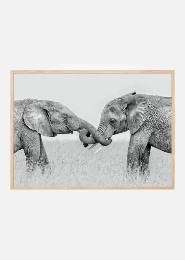 Confrontation Αφίσα