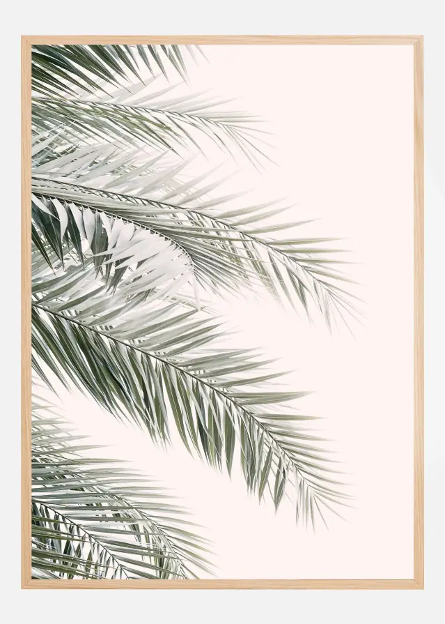 Blush Palm Leaves Αφίσα
