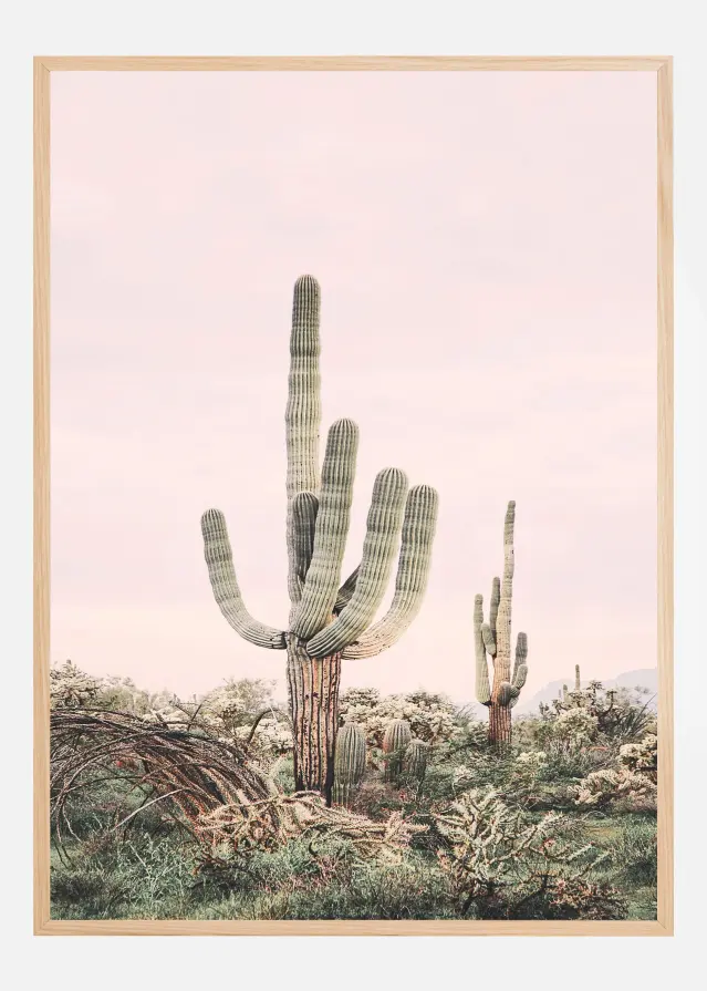Pink Saguaro Αφίσα