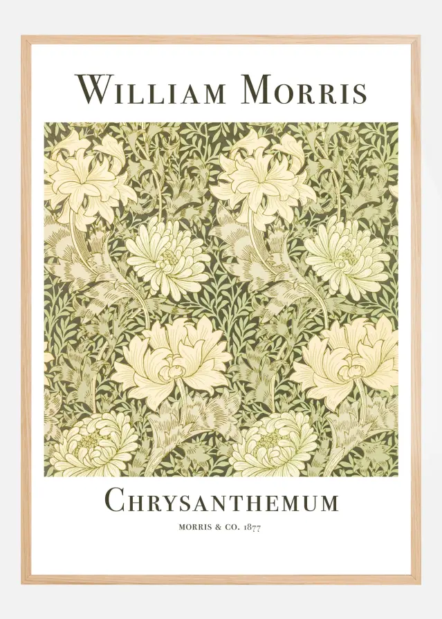 Chrysanthemum Αφίσα