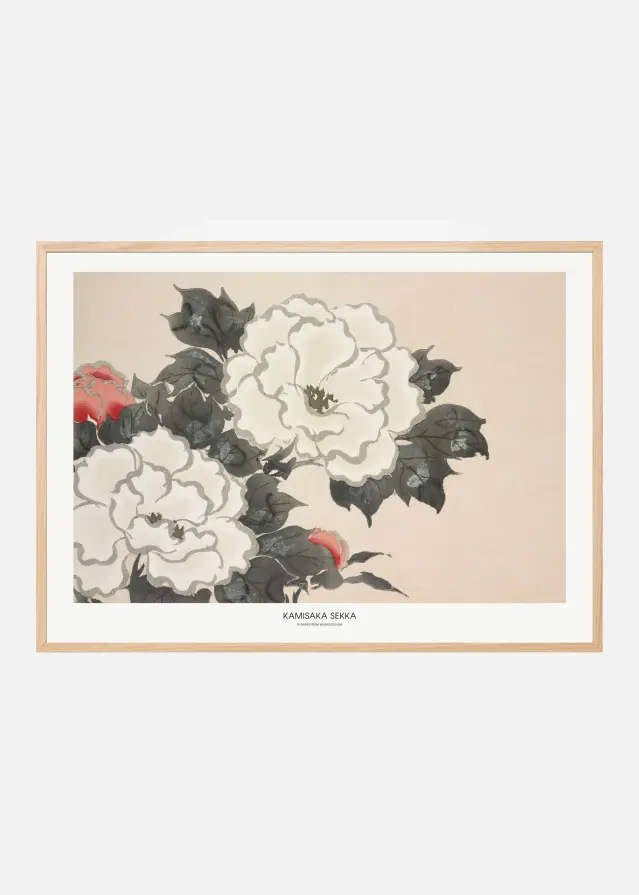 Flowers From Momoyogusa Αφίσα