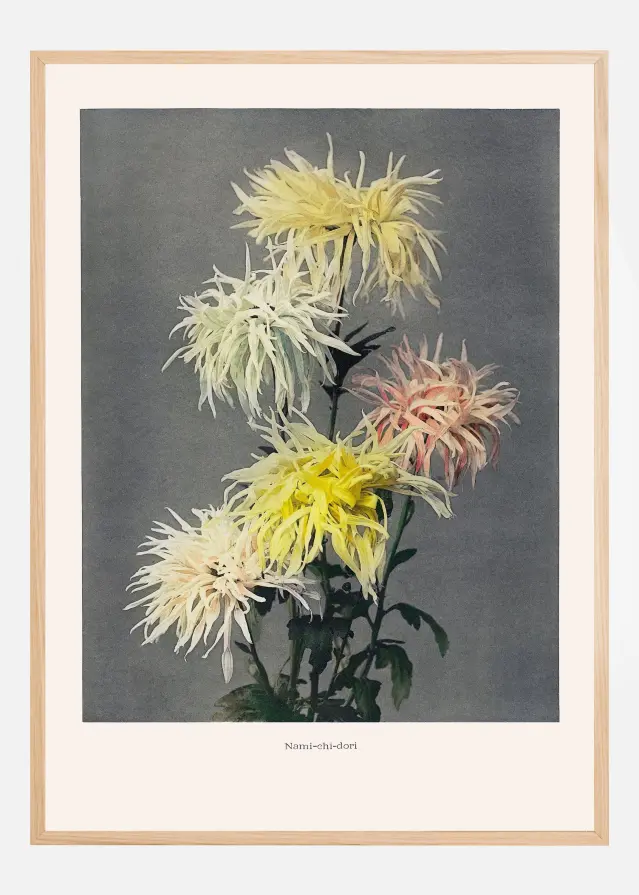 Namiachiadori Αφίσα