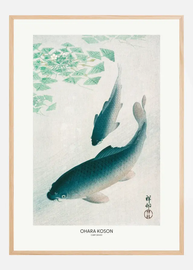 Carp Or Koi Αφίσα