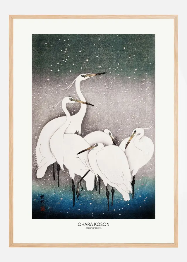 Group Of Egrets Αφίσα