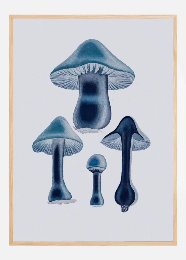 Agaricus Bulbosus - Blue Αφίσα