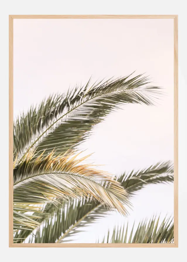 Oasis Palm 03 Αφίσα