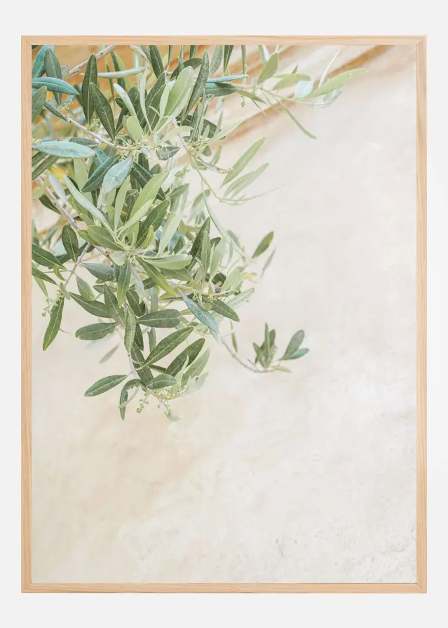 Olive Tree Leaves Αφίσα