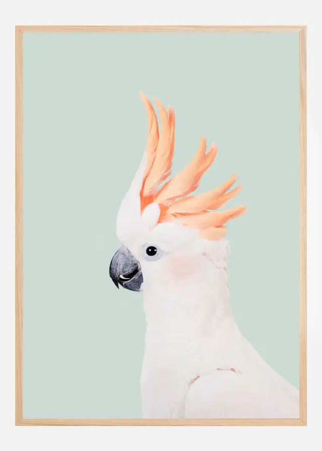 Cockatoo on Mint Αφίσα