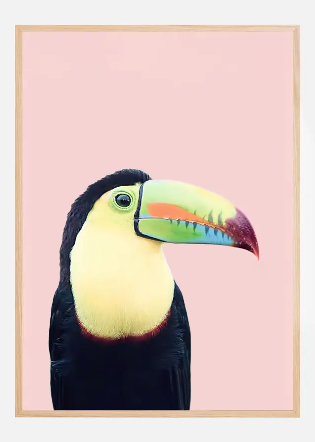 Toucan on Pink Αφίσα