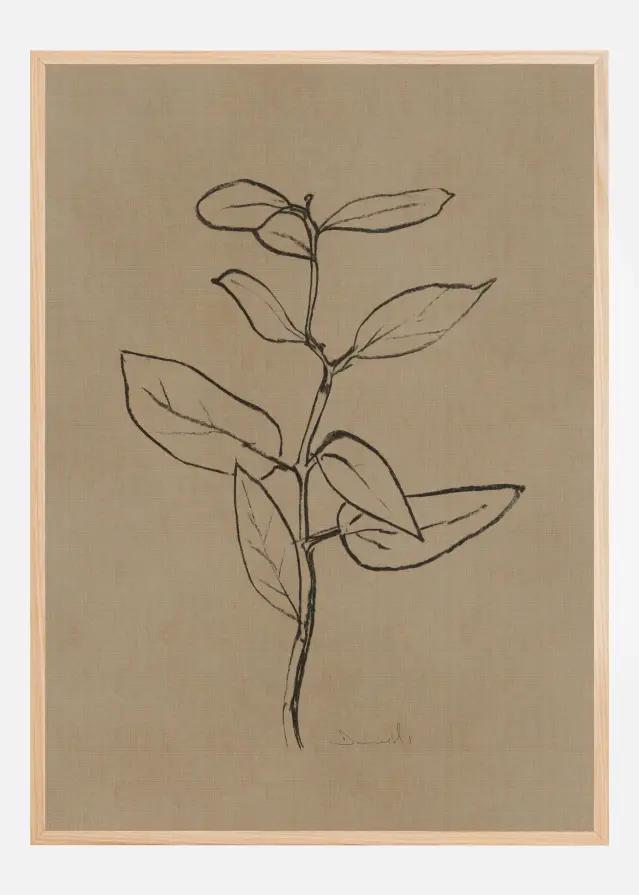 Eucalyptus Sapling Αφίσα