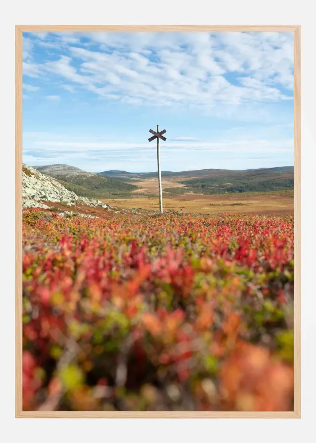 Summer ridge waypoint Αφίσα