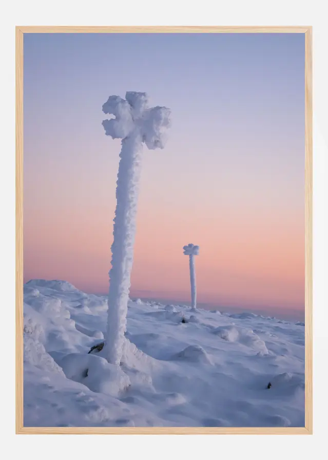 Winter blossoms Αφίσα