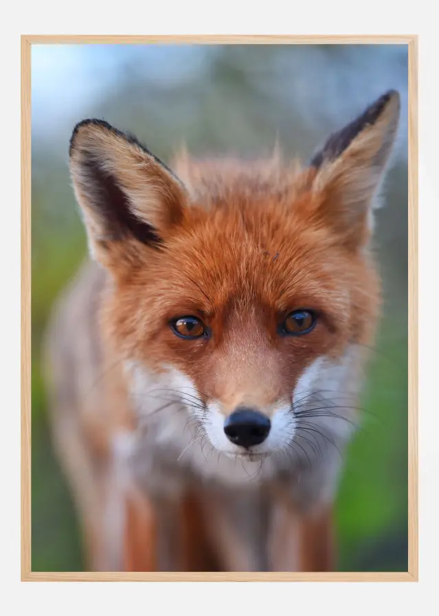 Rust in the wild Αφίσα